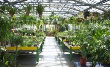 garden2.JPG