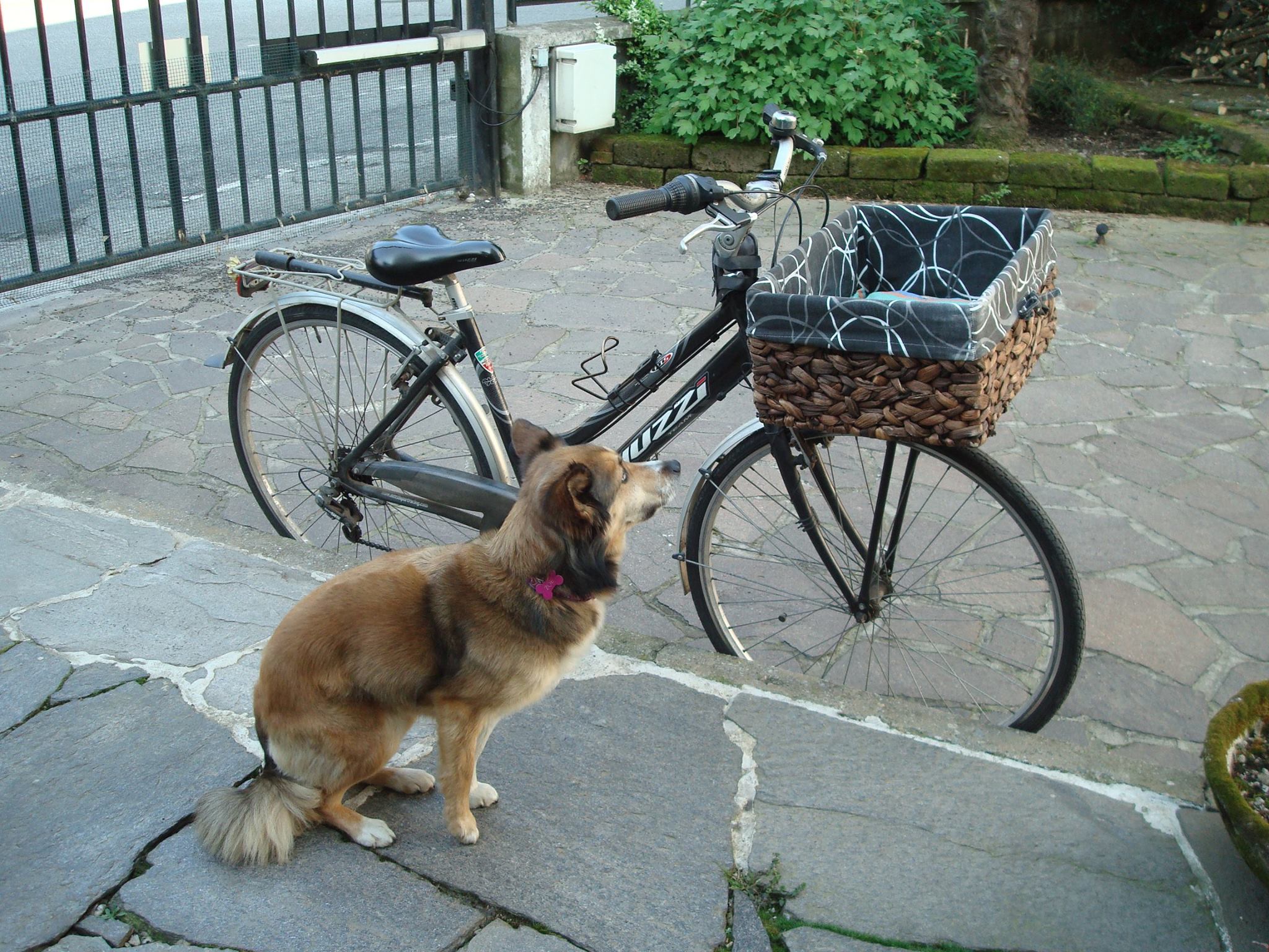ladribici.jpg