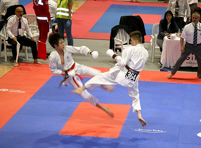 shoto2014b.jpg