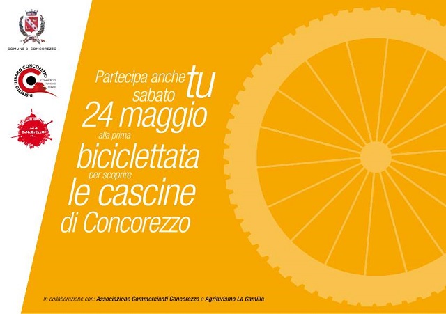 pedalata2014.jpg