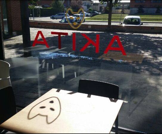 akita.JPG