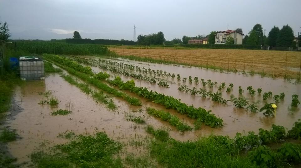 alluvioneb.jpg