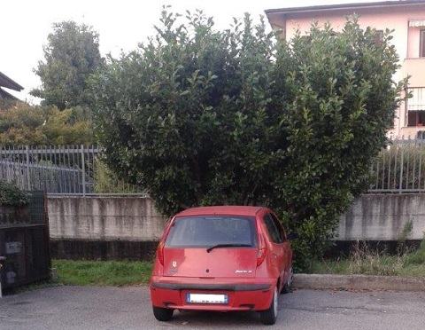 autorubataviamazzini.jpg