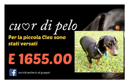 cleo5.jpg