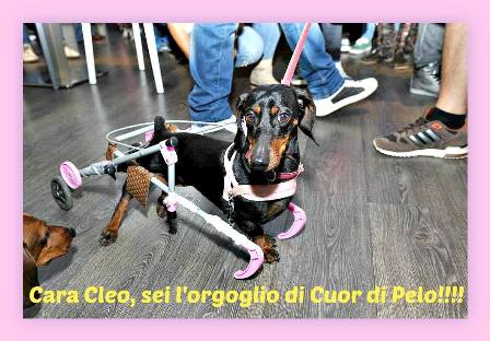cleoa.jpg