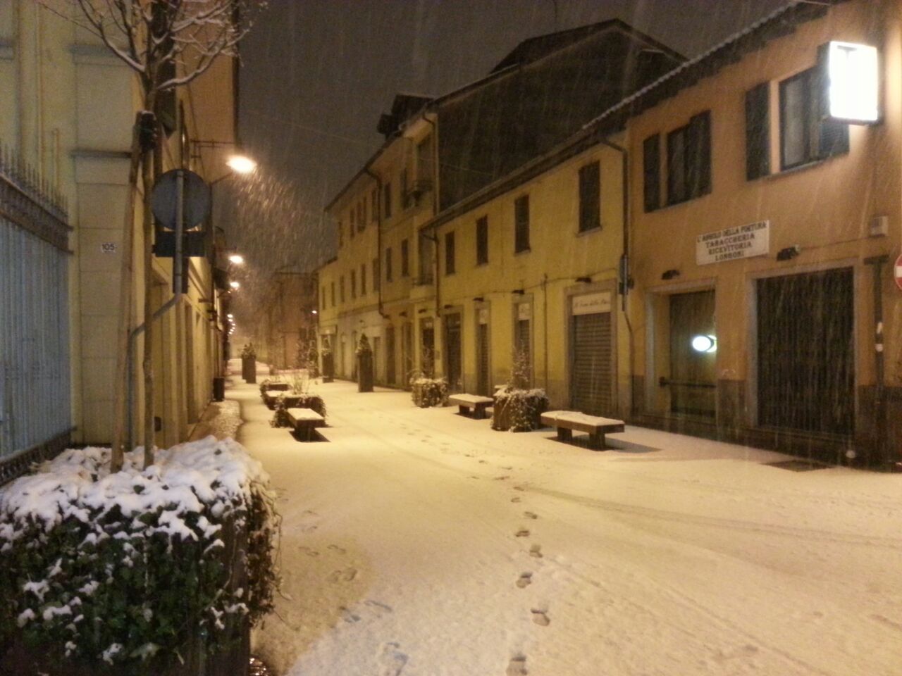 Neve2015 (2).jpg