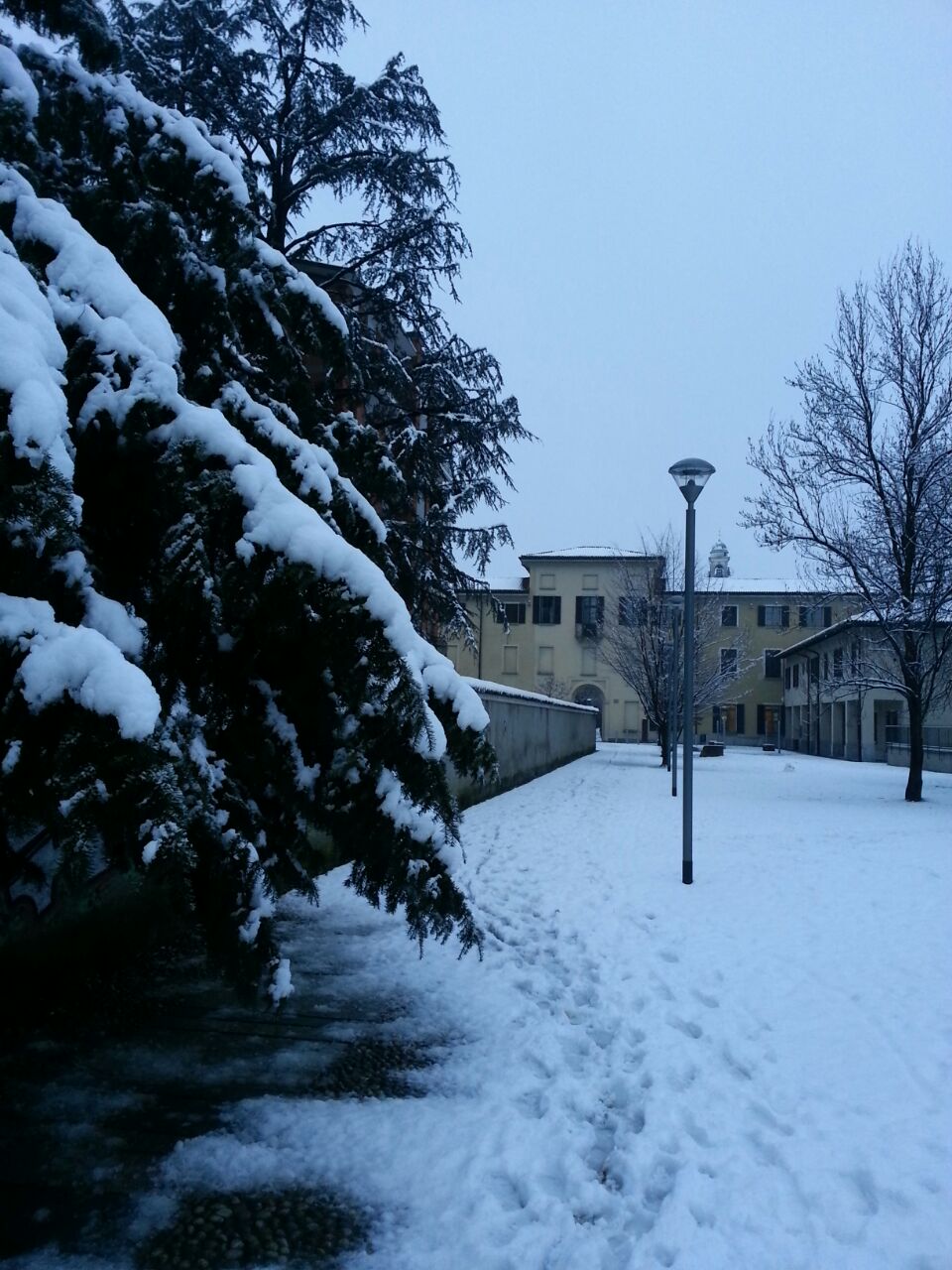 Neve2015 (7).jpg