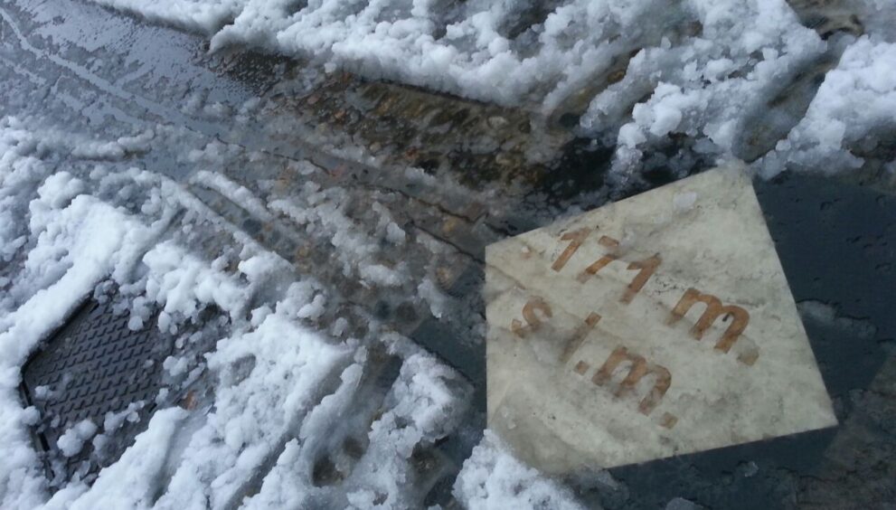 Neve2015.jpg