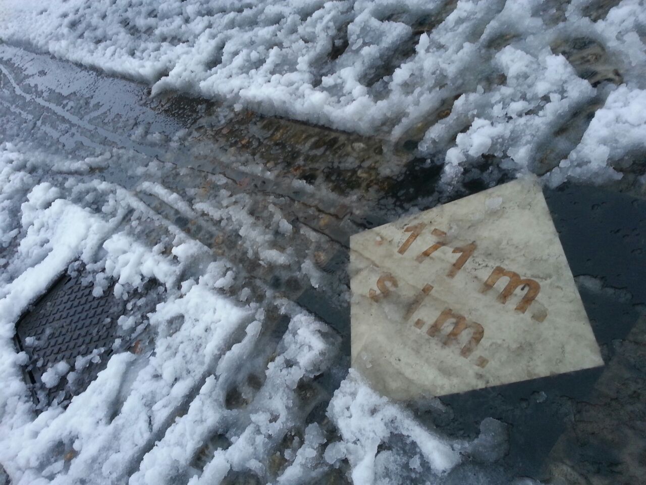 Neve2015.jpg
