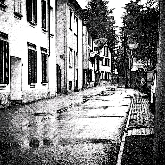 buscaini (24).jpg