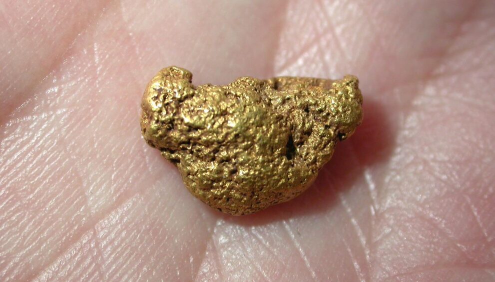 una delle pepite d'oro donate al Comune di Concorezzo