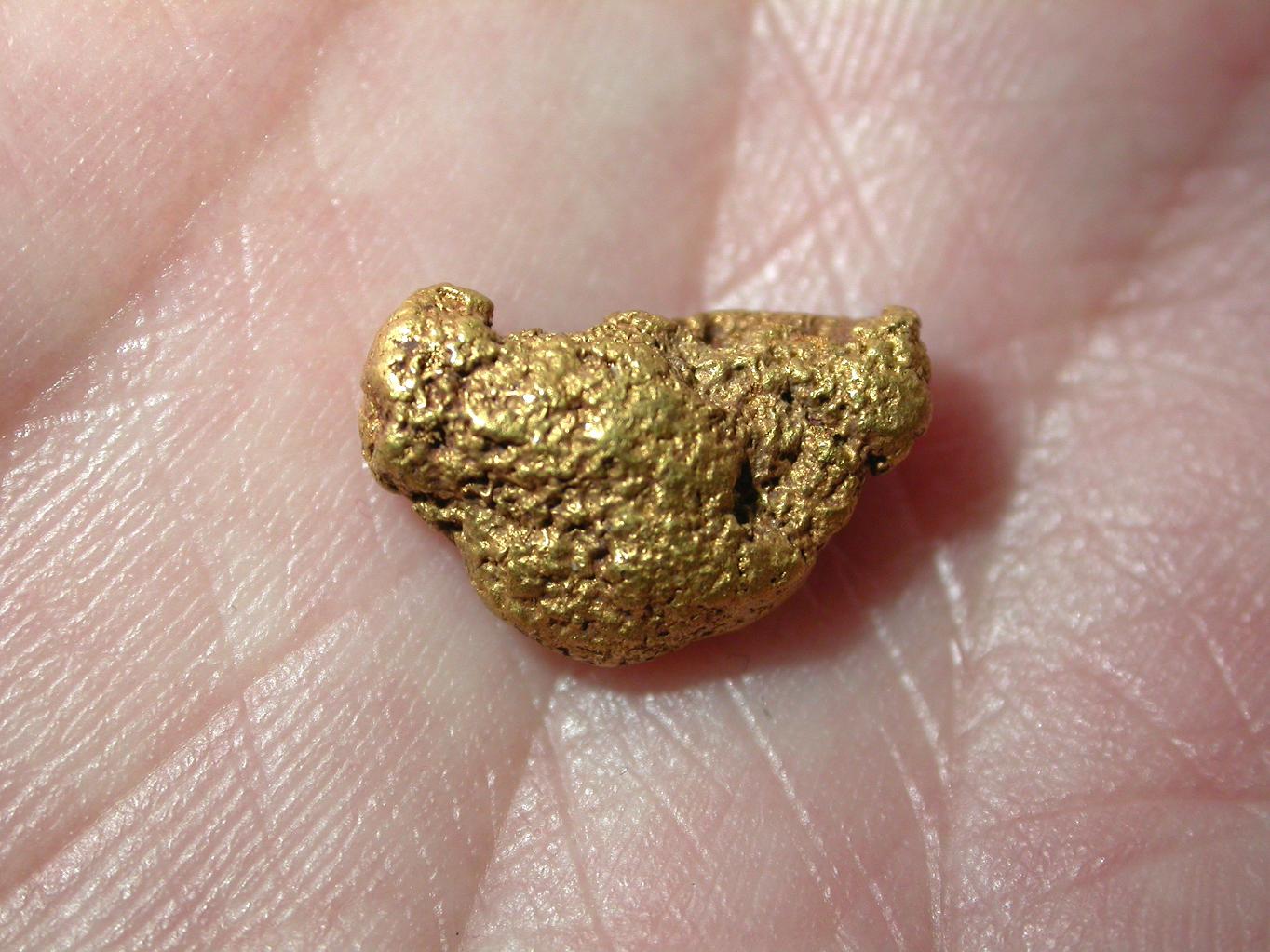 una delle pepite d'oro donate al Comune di Concorezzo