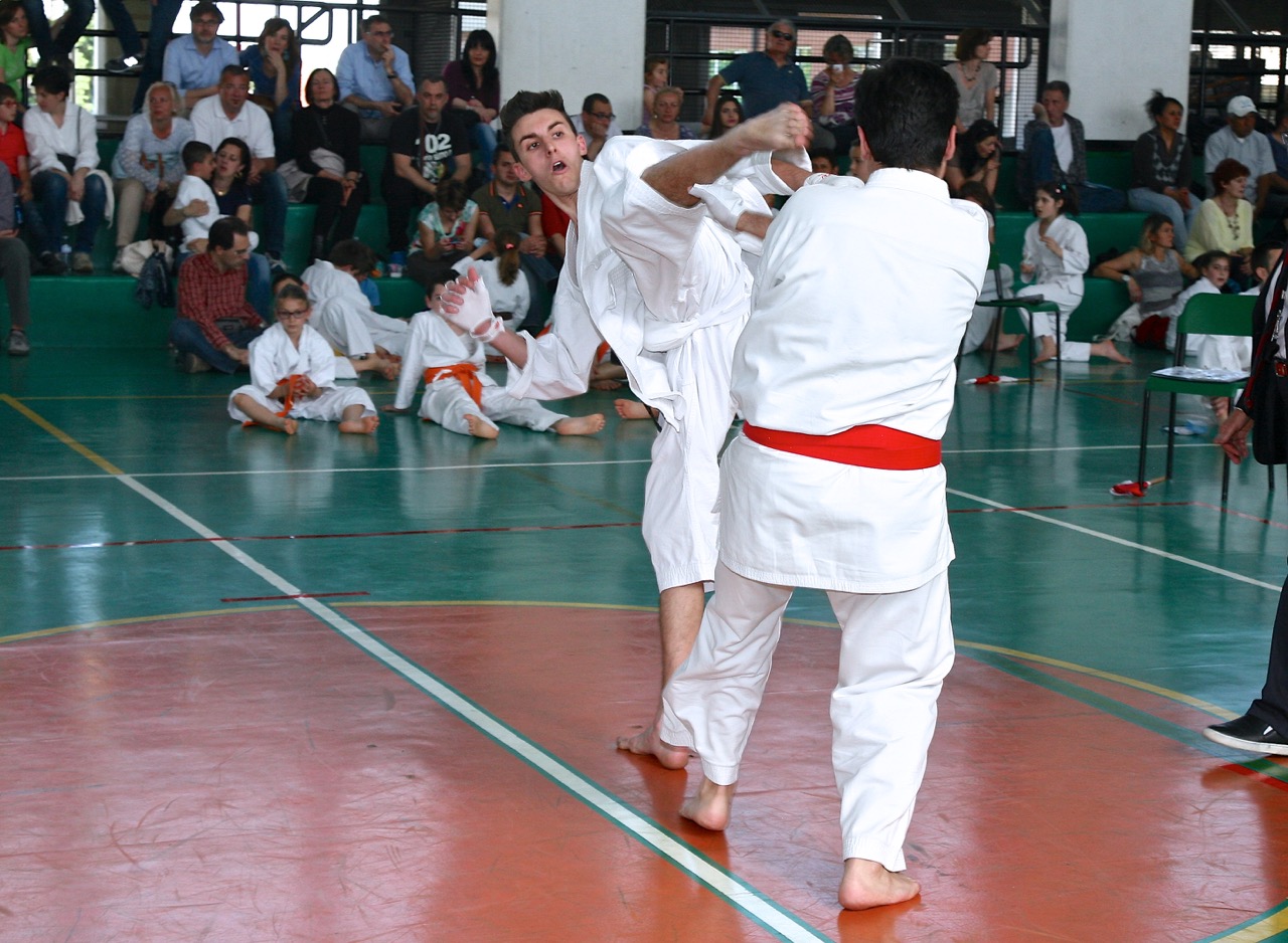 shotokan2015 (2).jpeg