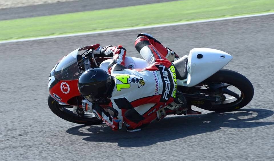ghidinimugello2015.jpg