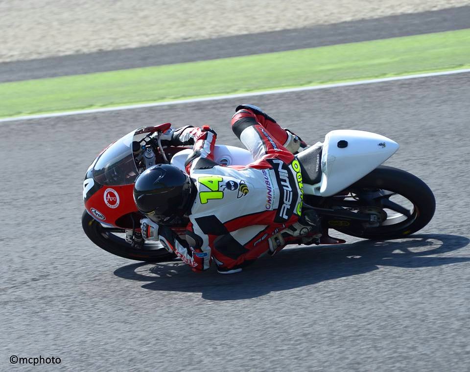 ghidinimugello2015.jpg