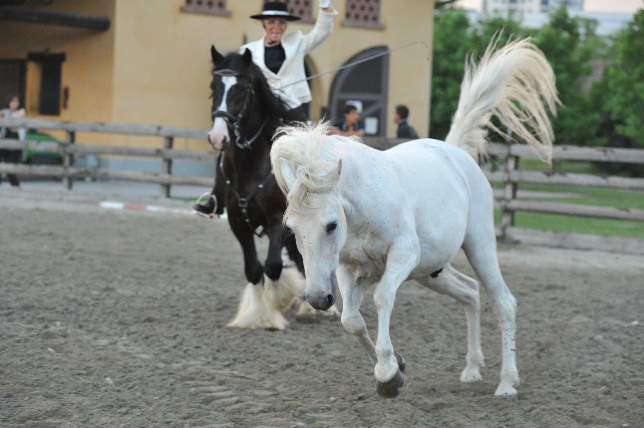 camillaferagosto.jpg