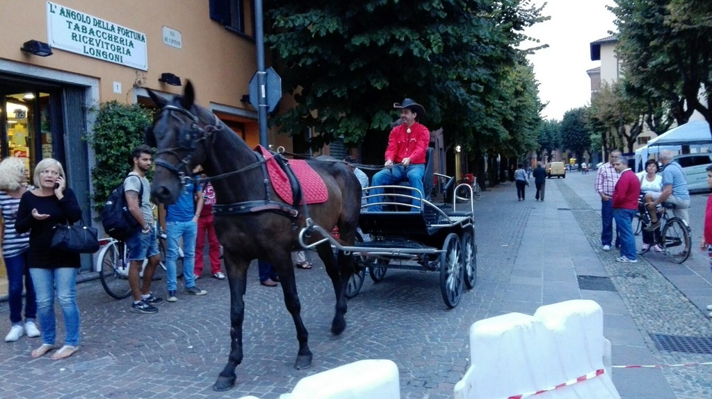 GPPEDALI2015 (16).jpg