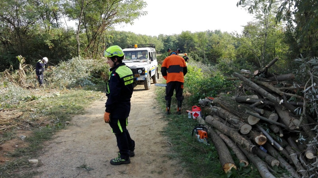 protezione2015h.jpg