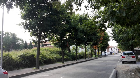 rancatebuio (1).jpg