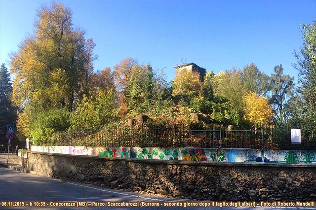 burrone2015b.jpg