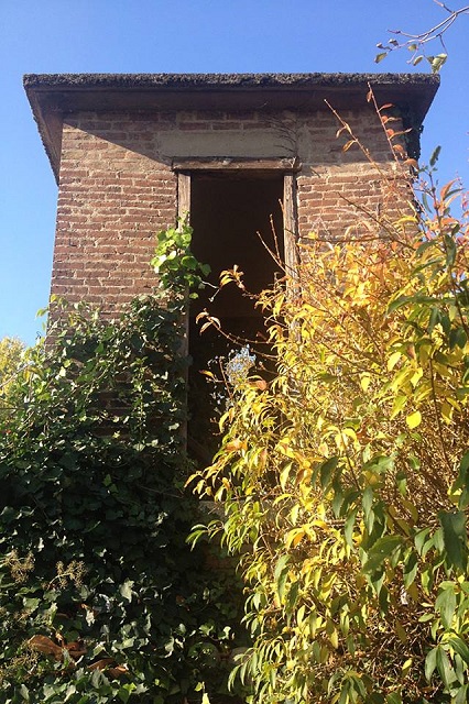 burrone2015c.jpg