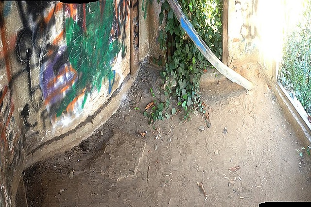 burrone2015d.jpg