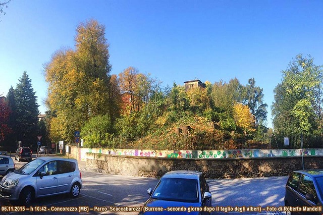 burrone2015h.jpg