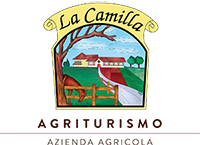 la camilla.png