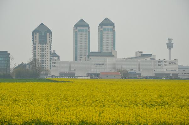 campi_gialli.jpg