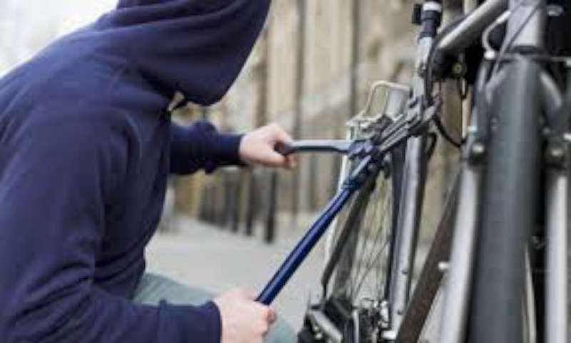 ladro_bici.jpg
