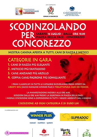 scodinz2016.jpg