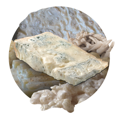 Gorgonzola_mariobianchi.png