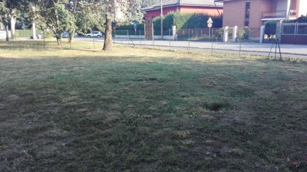 area_cani (2).jpg