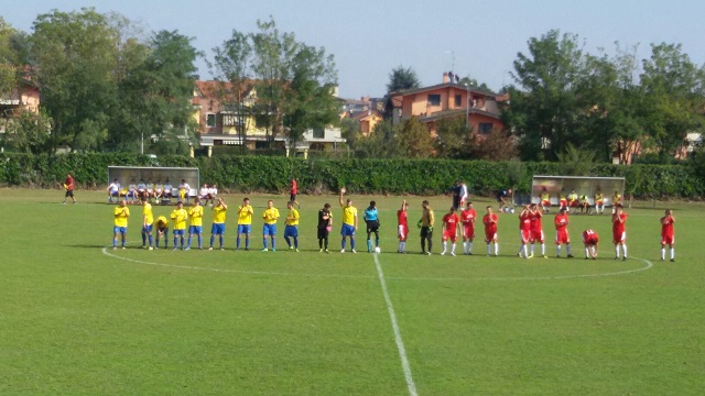 concoprima1.jpg