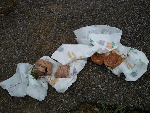polpette_avvelenate.jpg