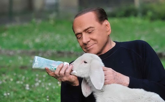 agnello.jpg