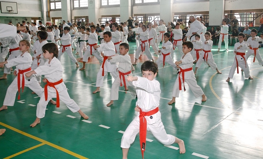 shoto 2.jpg