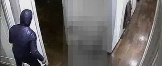 ladro_telecamere.jpg