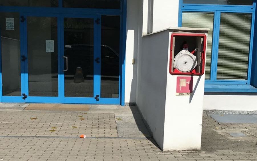 vandali_limo.jpg