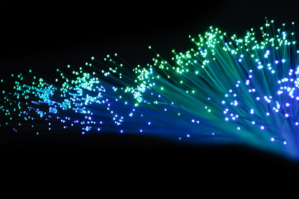 fibra.jpg