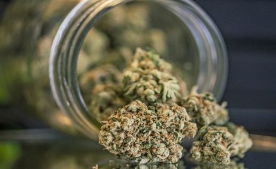 thumb712-myjoint-cannabis-legale-fiore-in-barattolo-37fc831e3b7c11f918dd7c307435dc2c.jpg