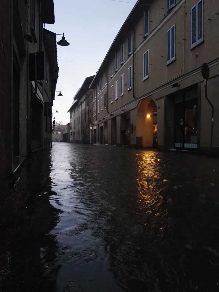 gra1.jpg