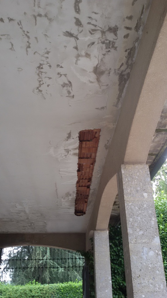 20180902_102108.jpg