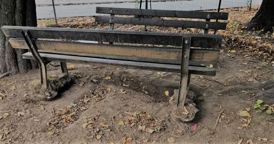 Panchine vandali.jpg
