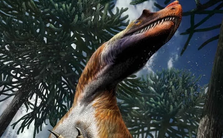 DinosauroAnsa.jpg