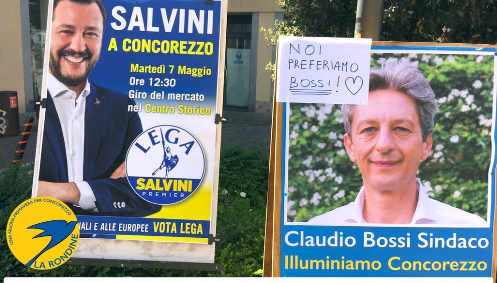 rondine_bossi.jpg