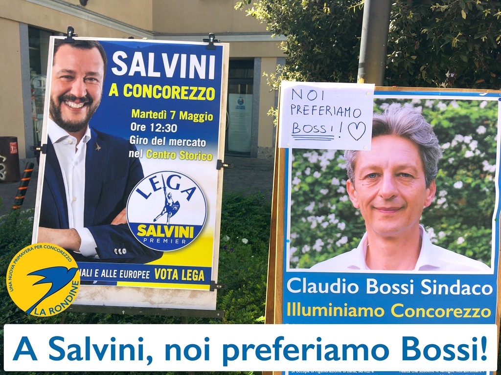 rondine_bossi.jpg