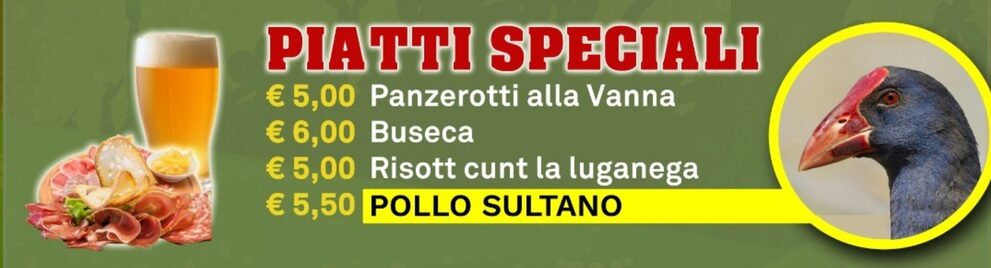pollo_sultano.jpg