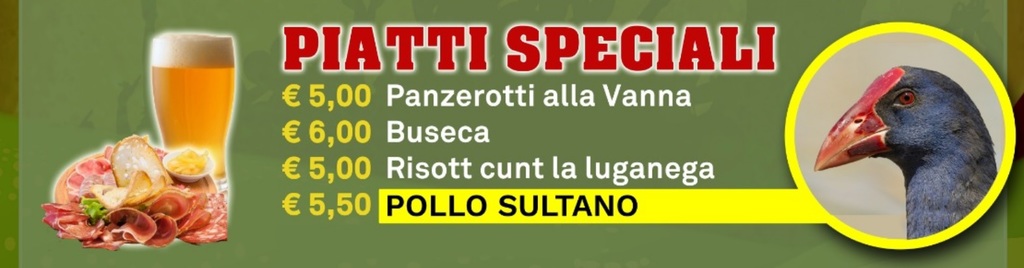 pollo_sultano.jpg
