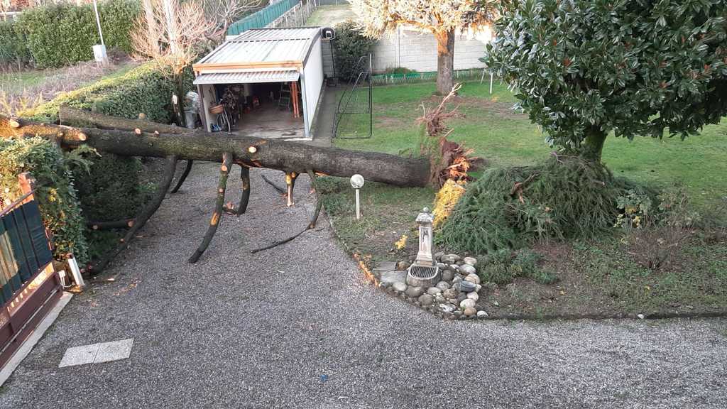 baragiola_pino_concorezzo.jpeg